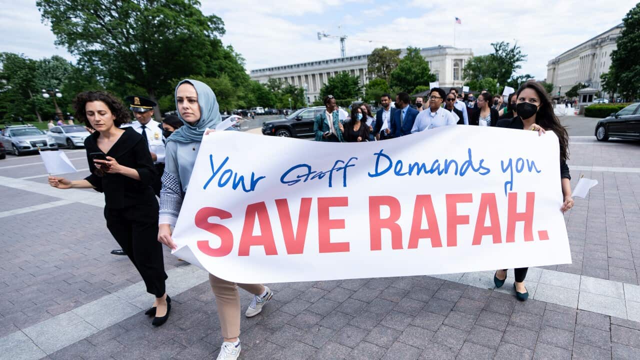 Congressional Staff for a Ceasefire Now