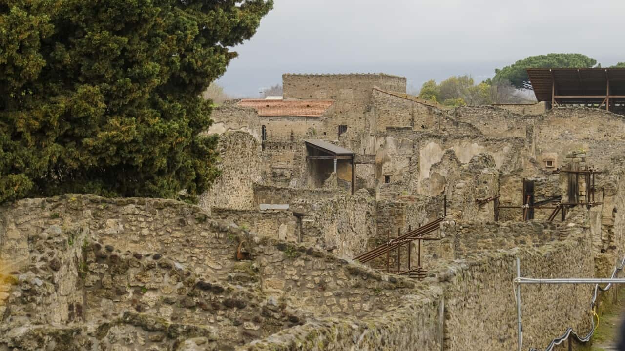 Italy: Pompeii, House of Thiassus - News