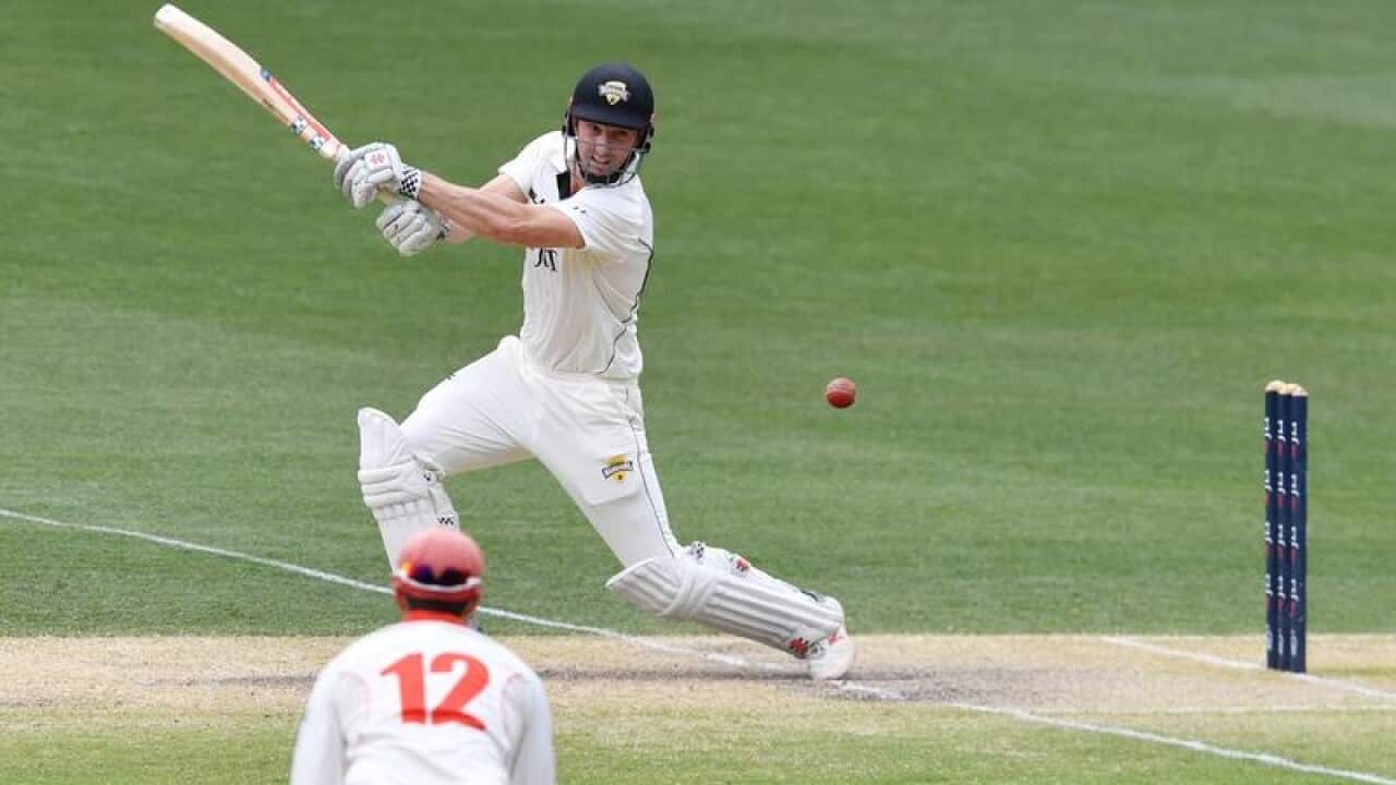 Shaun Marsh