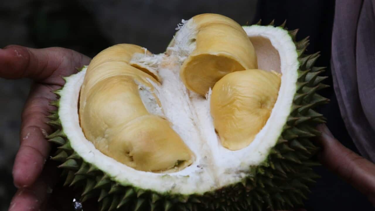 Durian