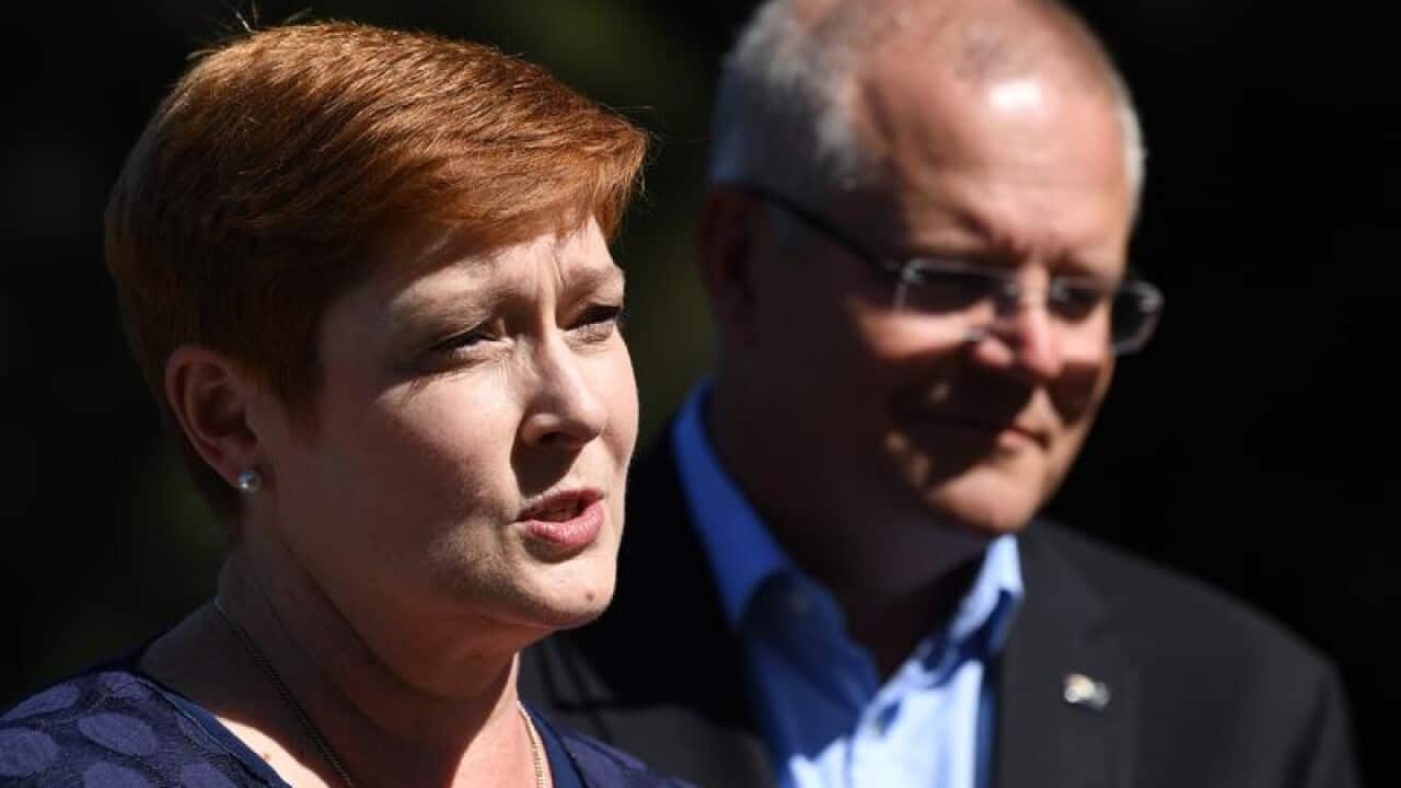 Marise Payne has called for calm.