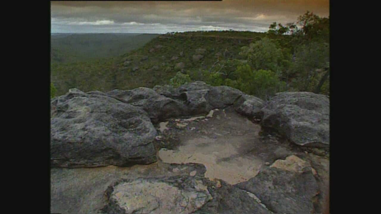 NTV_cape_york_pic_17016299_0.jpg