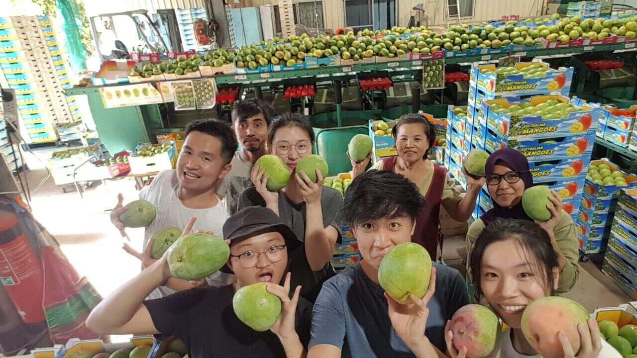 Image for read more article ''