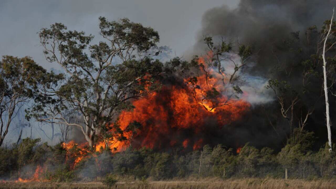 bushfire_crop_aap.jpg
