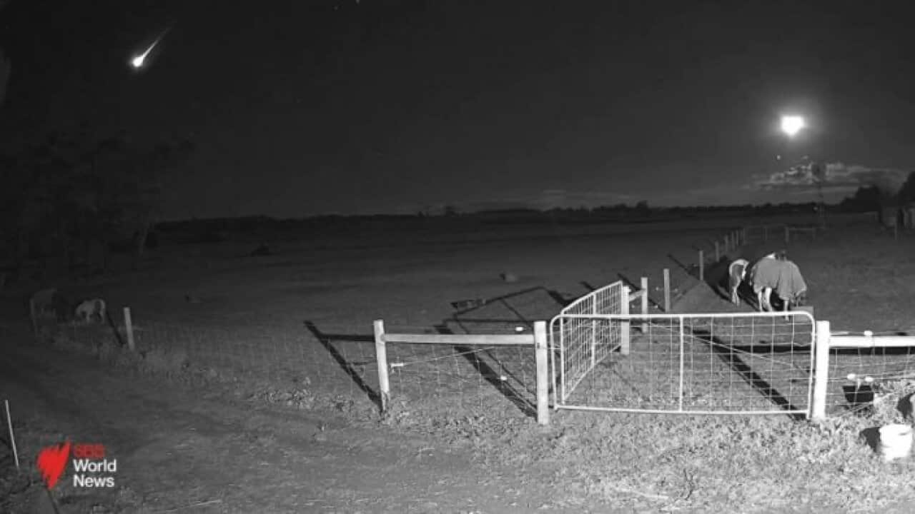 Meteor In Australia Meteor sighting across Victorian skies I SBS News | SBS News