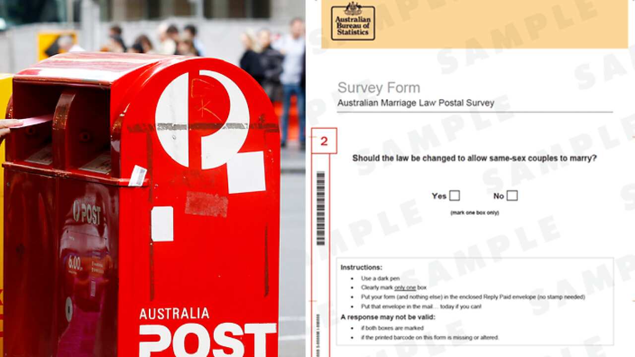 survey