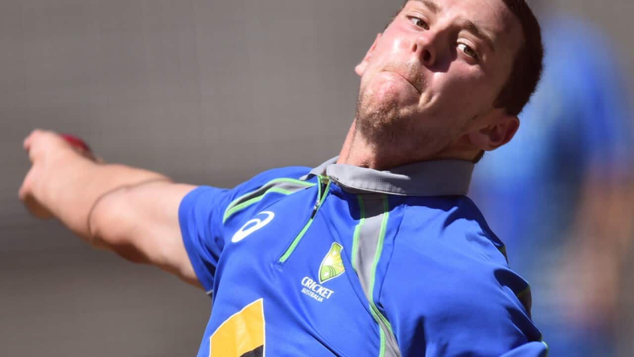 Australian cricketer Josh Hazlewood