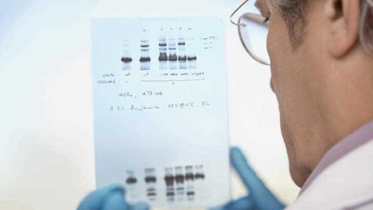 Scientist looking at DNA test results indoors