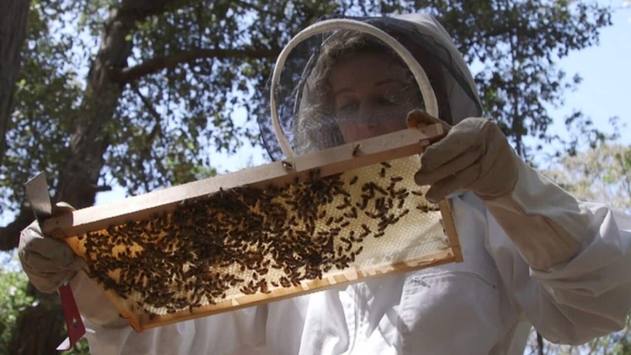 Image for read more article ''