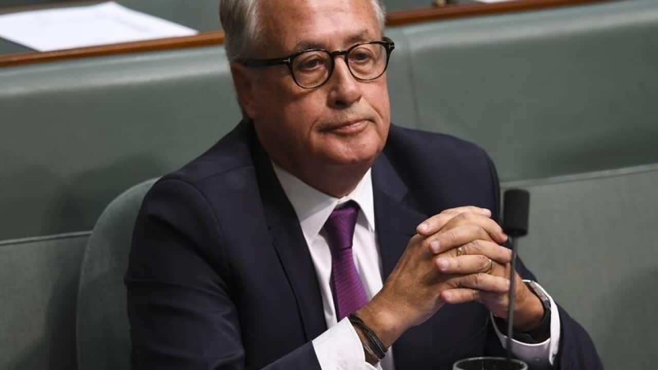 Labor MP Wayne Swan in the House of Representatives.