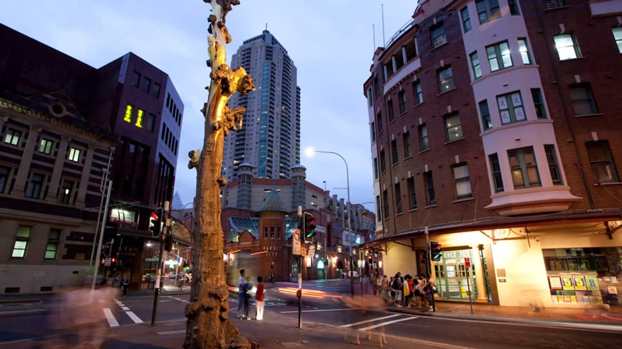 A sculpture and fountain made from the trunk of a eucalyptus tree covered in gold leaf at night on a street corner_.png