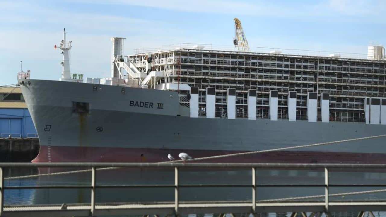 Livestock transport ship