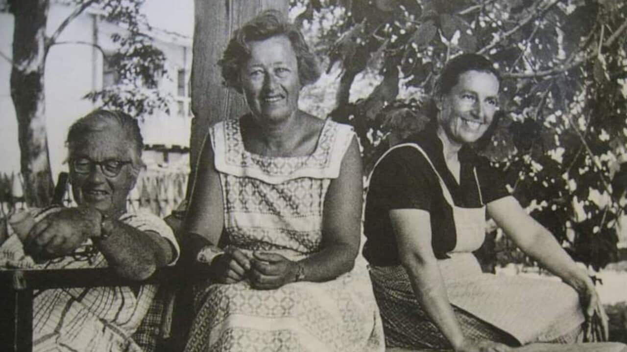 جویس ننکیول لاک