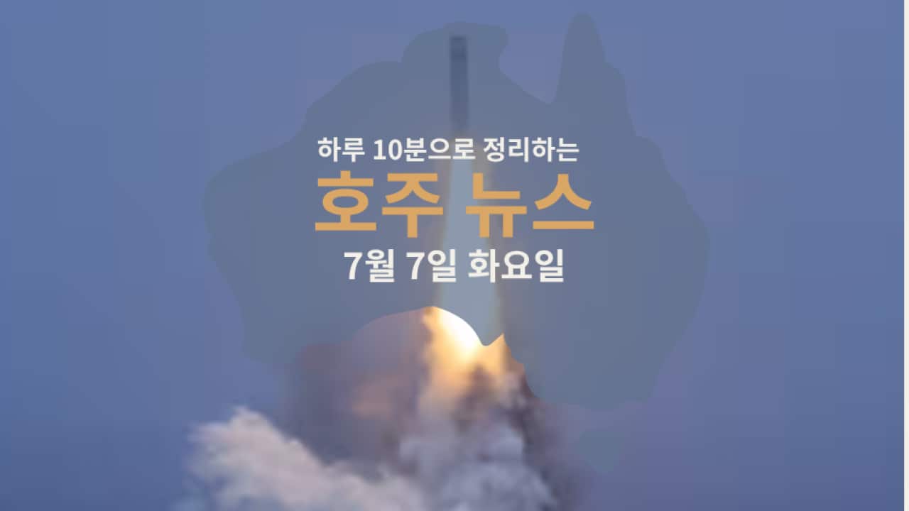 Daily News (2).png