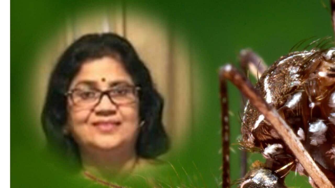 Japanese encephalitis