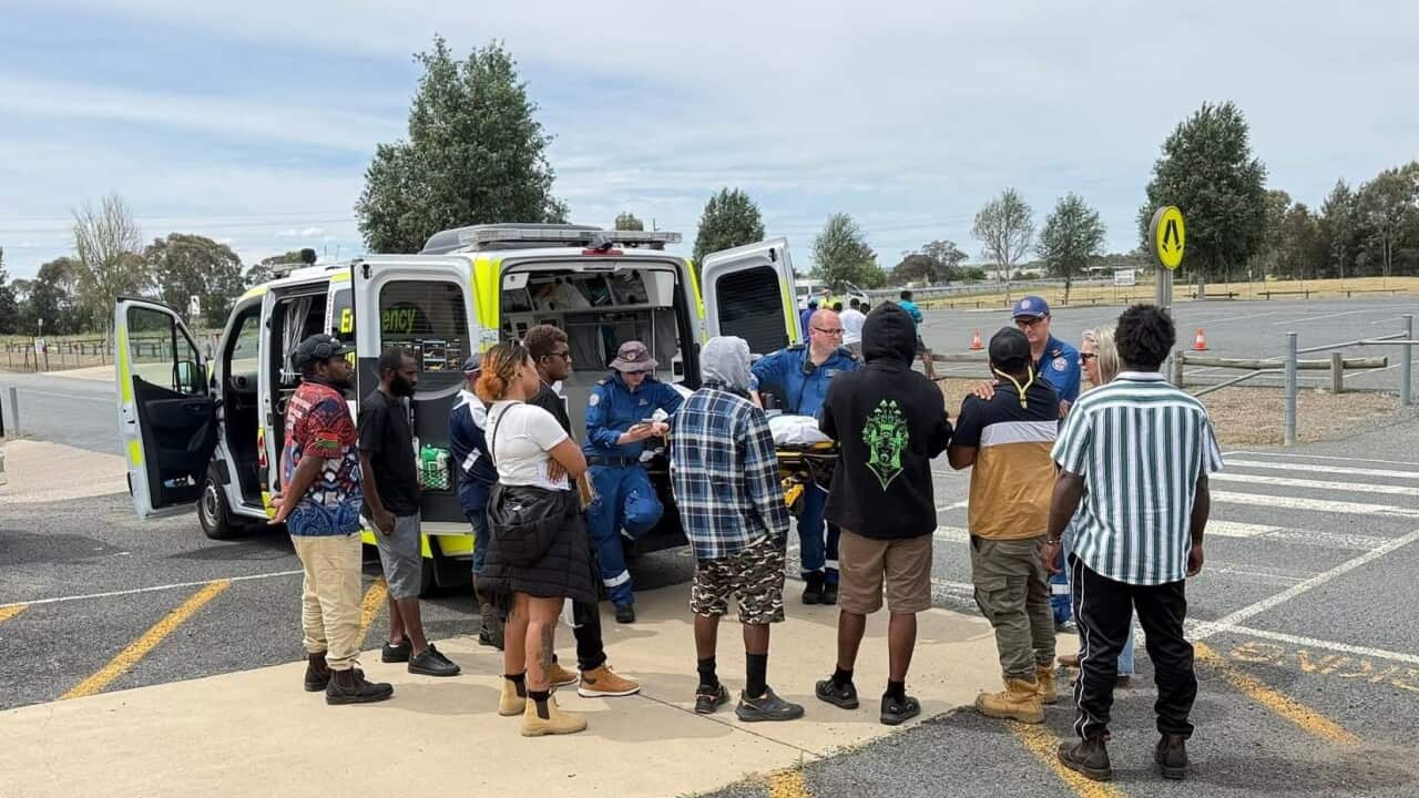 PALM workers (2).jpg