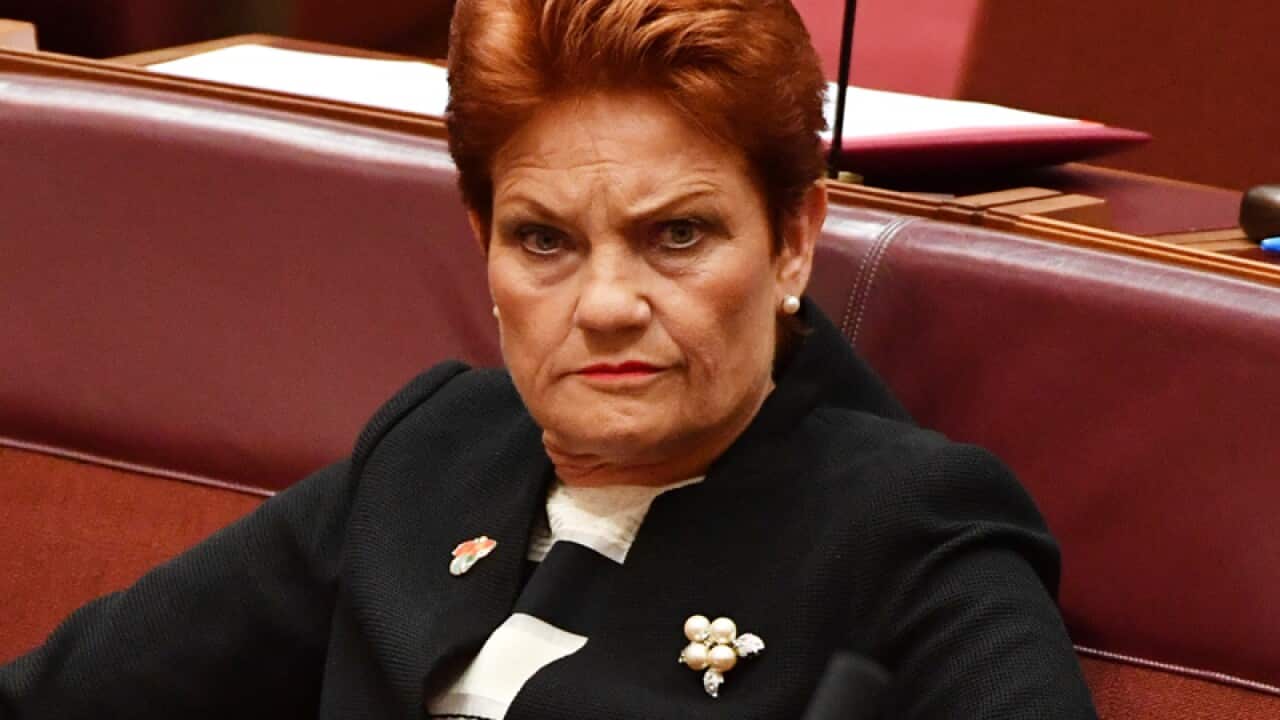 One Nation leader Senator Pauline Hanson