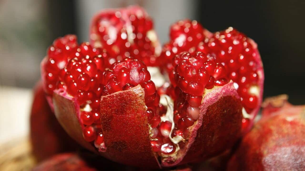 pomegranate