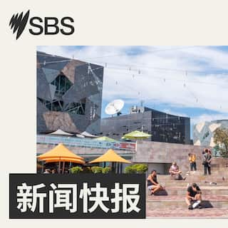 SBS-Podcasts_mandarin news flash_3000x3000px_LTR.jpg