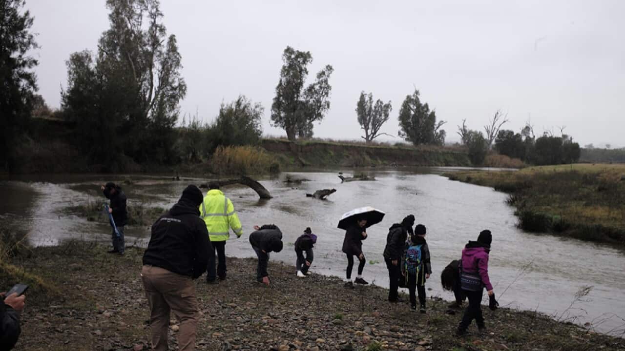 Image for read more article ''