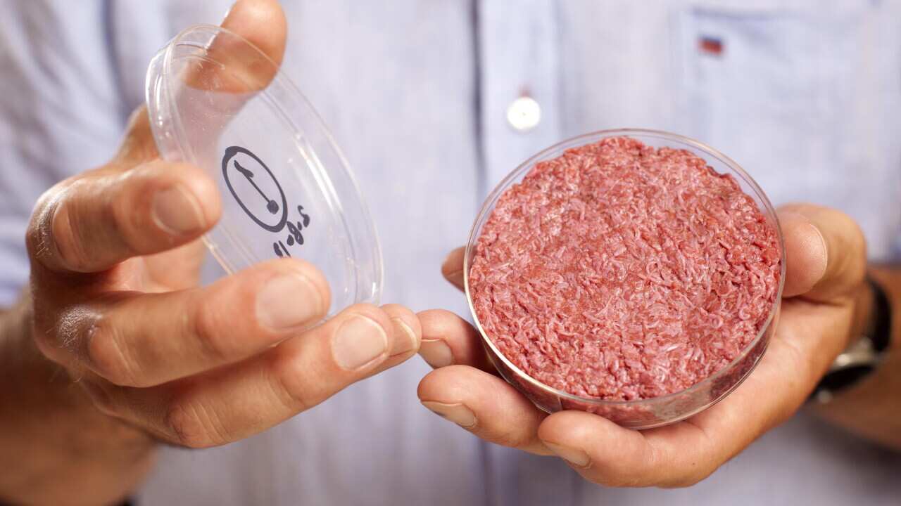 A burger made from Cultured Beef, which has been developed by Professor Mark Post of Maastricht University in the Netherlands.