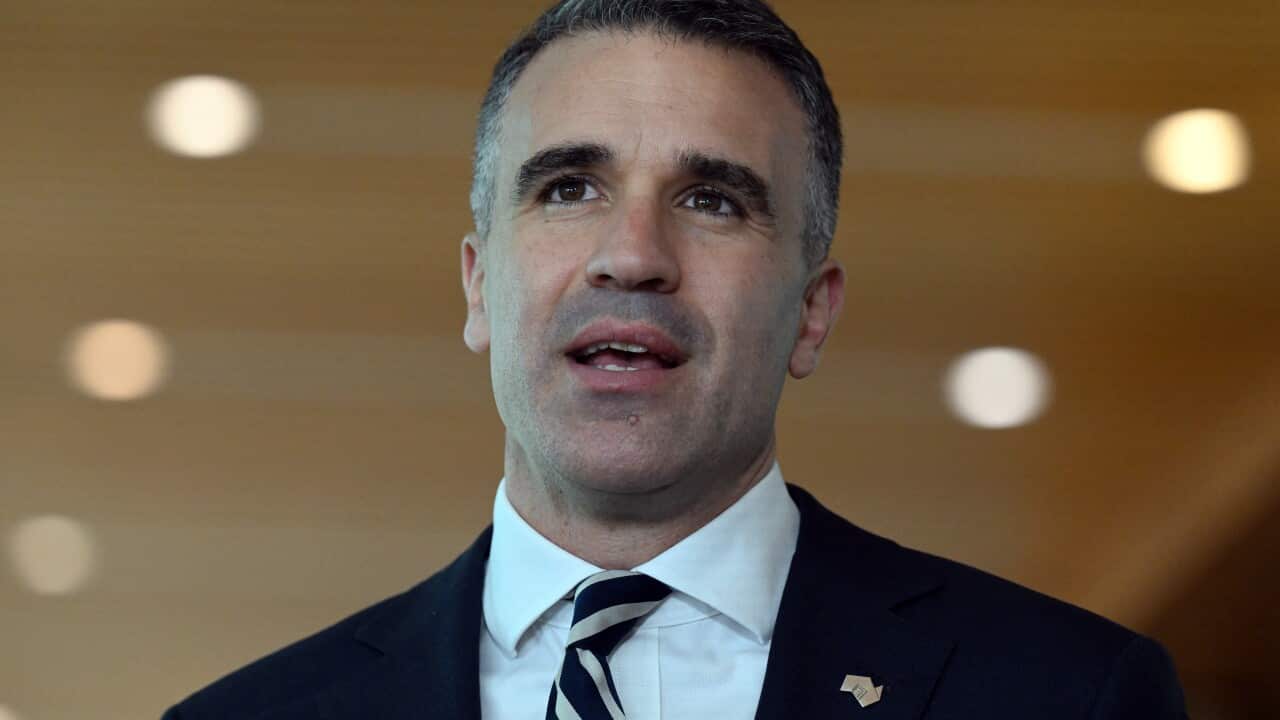 Peter Malinauskas speaking