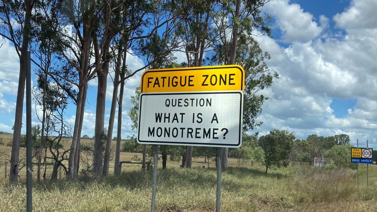 Fatigue trivia sign 4.jpg