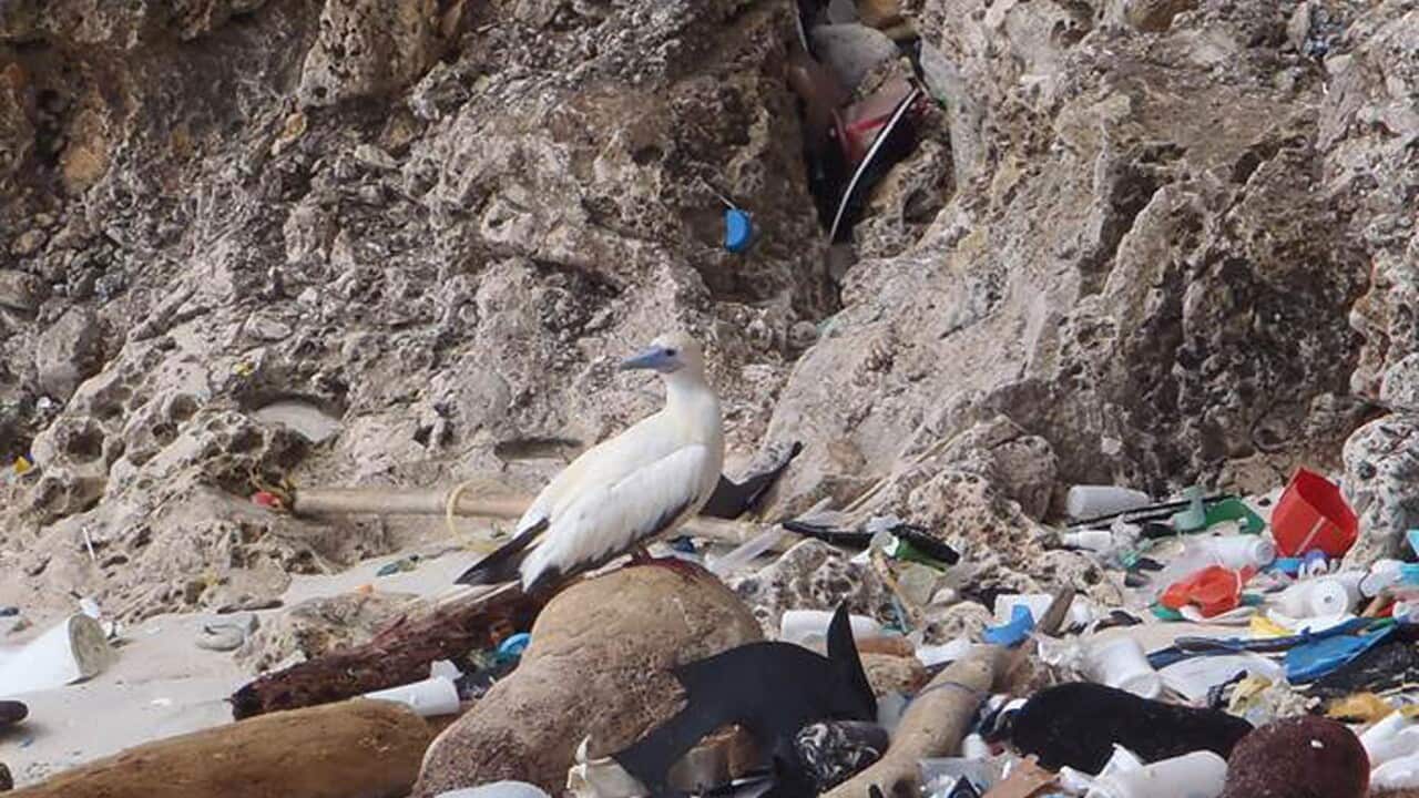 Image for read more article 'ΔΕΙΤΕ ΑΚΟΜΗ'