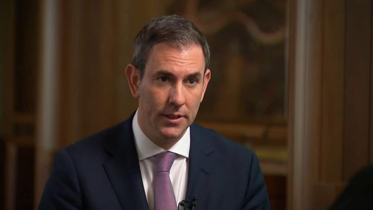 Federal Treasurer Dr Jim Chalmers (SBS).jpg