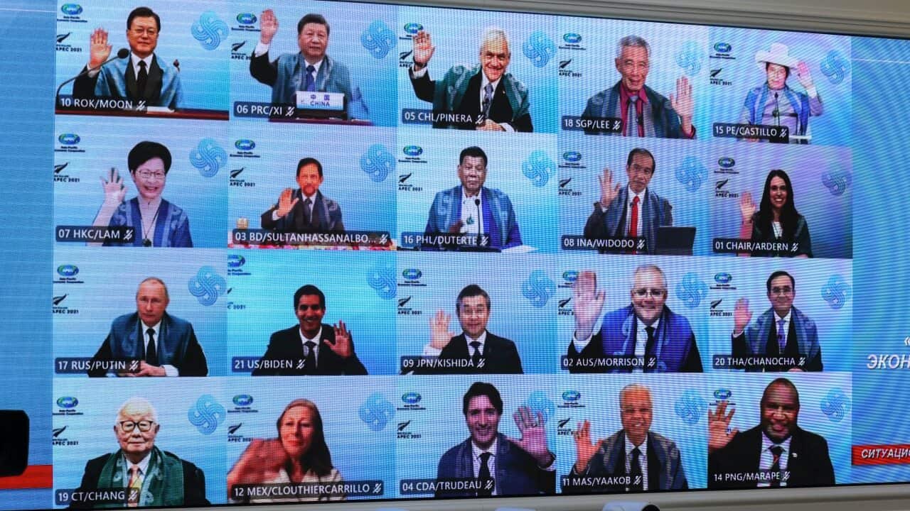 Leaders attend the APEC meeting online.