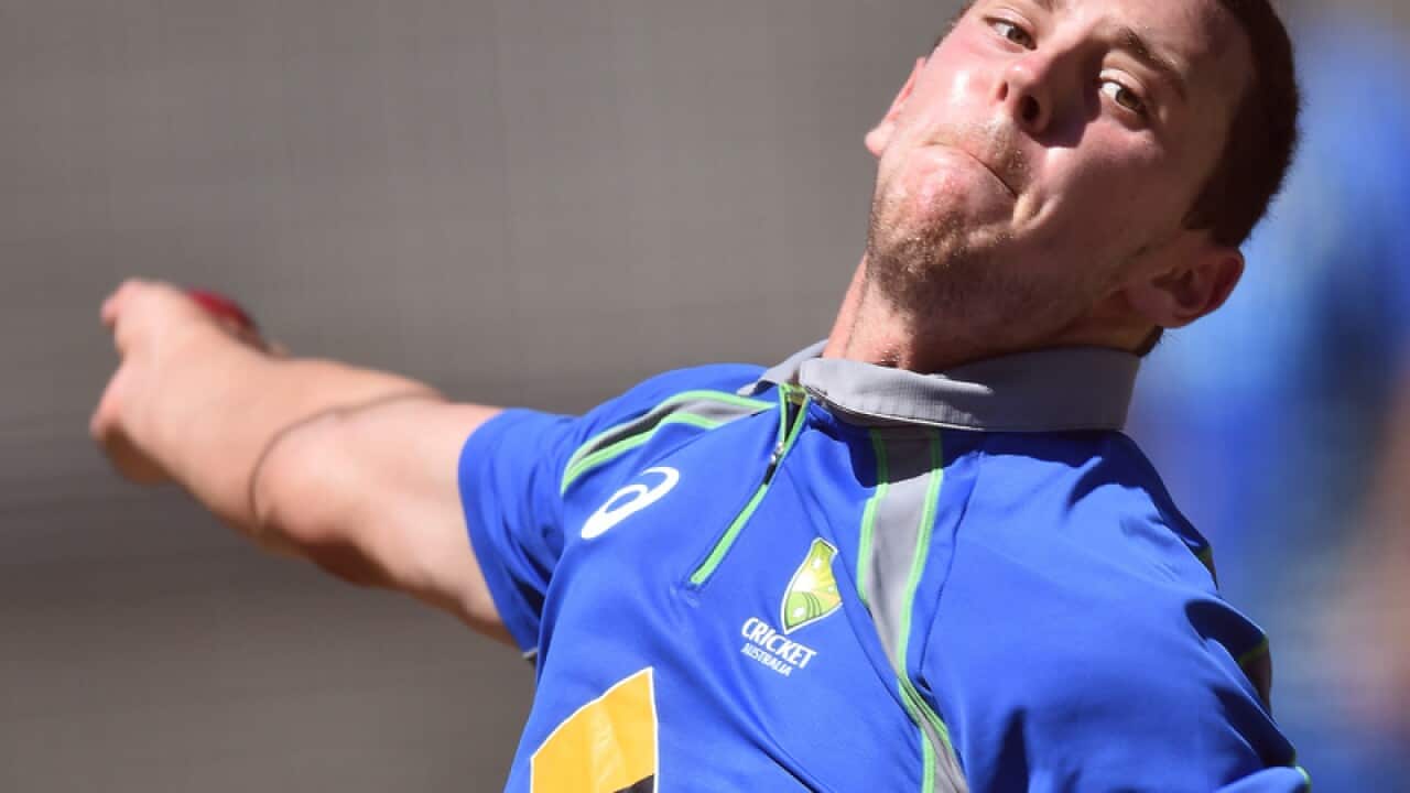 Australian cricketer Josh Hazlewood