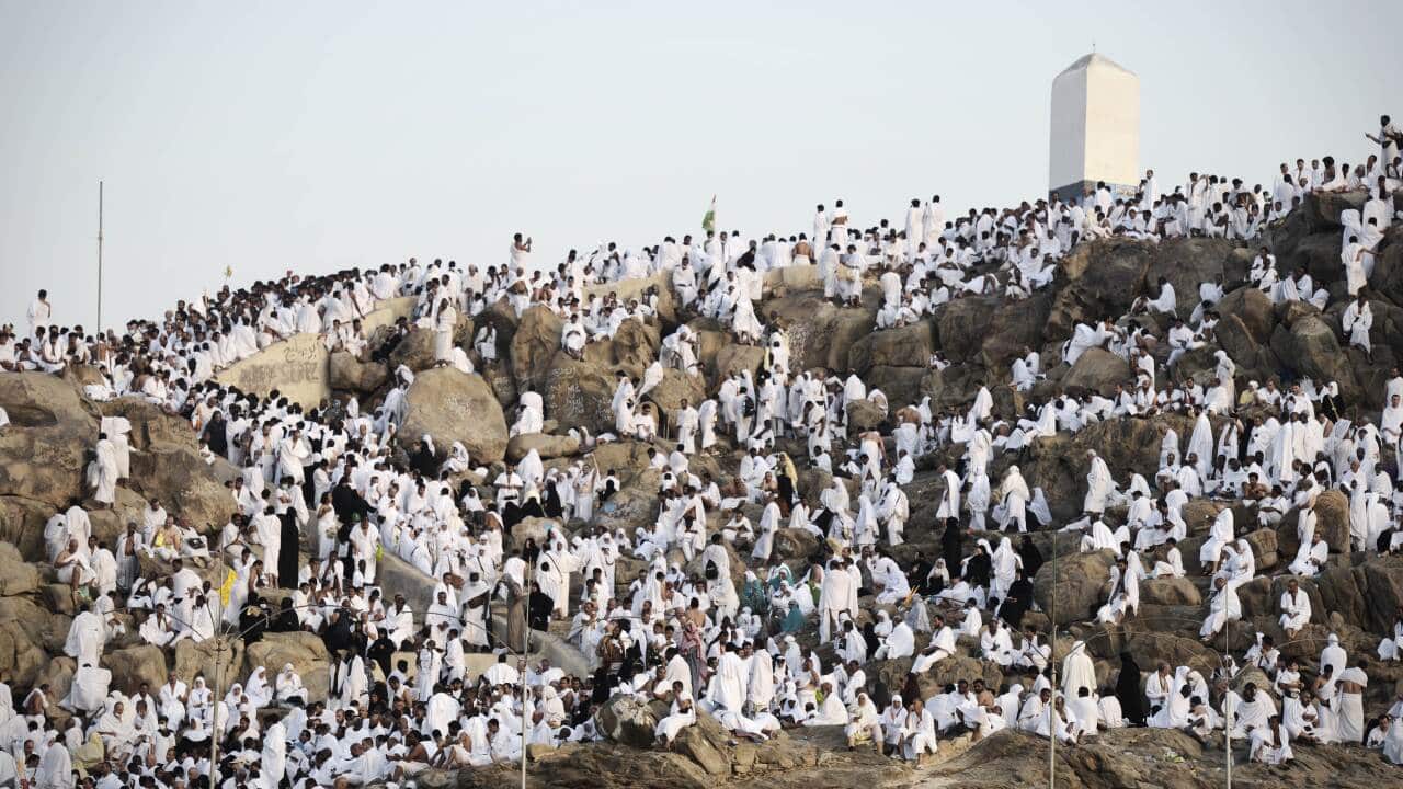 Muslim pilgrims gather on Mount Arafat, near Mecca
