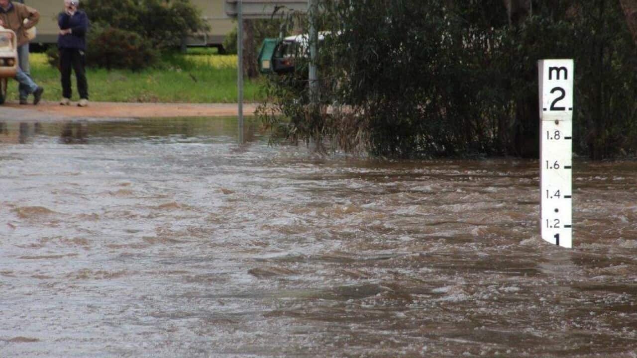 Water levels set to rise in Forbes