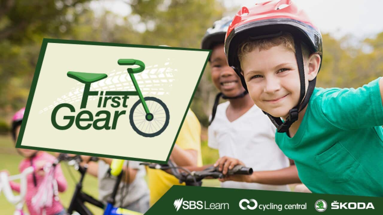 First Gear Skoda TDF SBS Learn