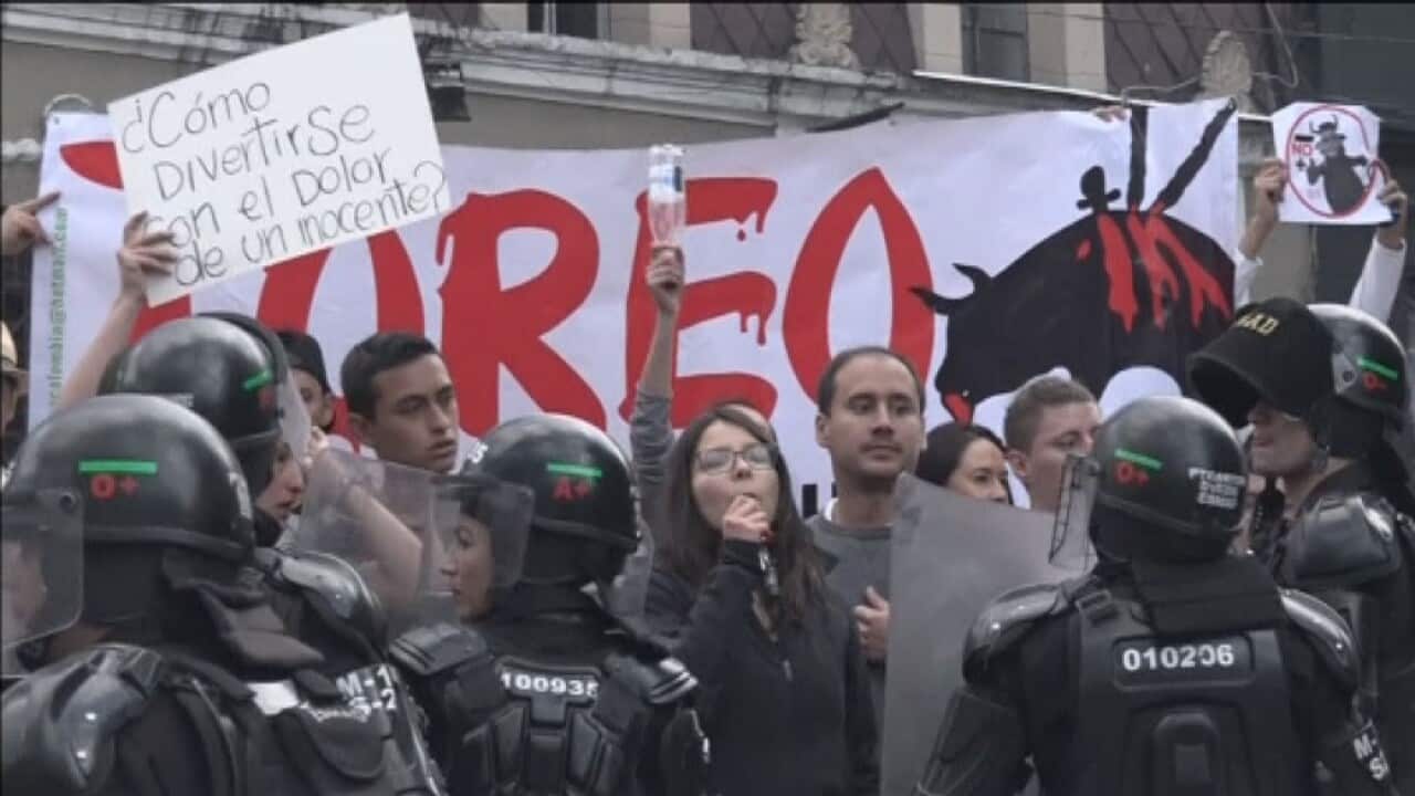 Around a thousand people protested the return of bullfighting to the Colombian capital.
