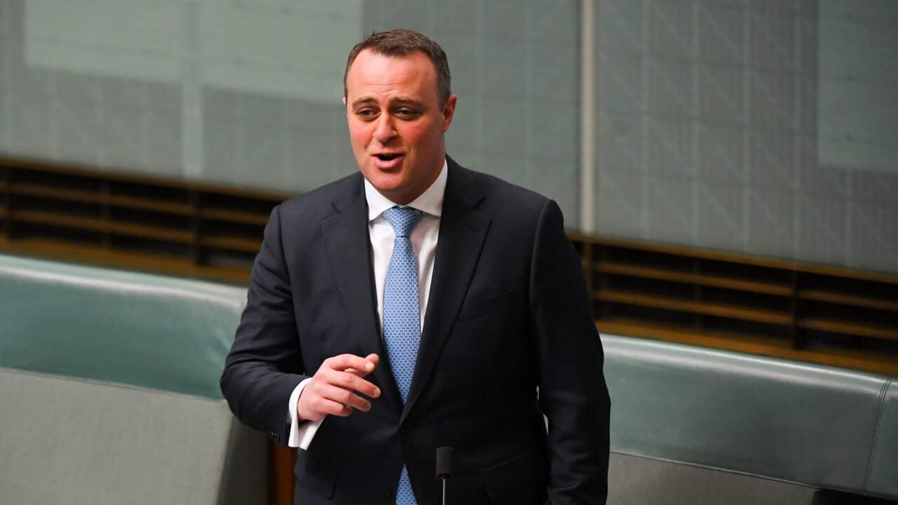 Liberal MP Tim Wilson speaks during debate in the House of Representatives at Parliament House in Canberra.