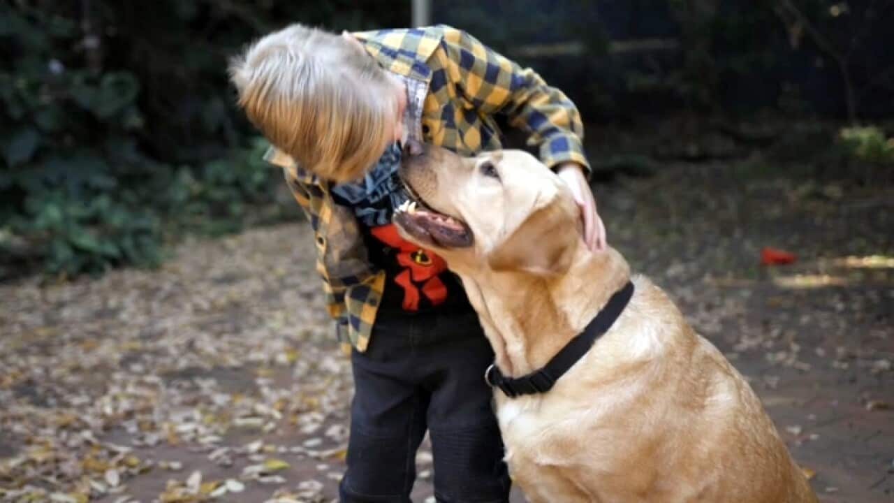 Image for read more article ''