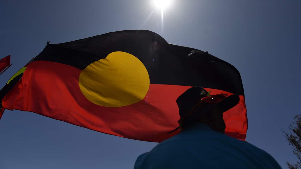 ABORIGINAL flag