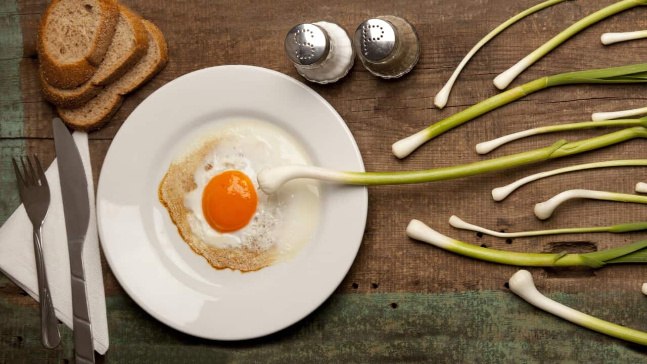 Overall, the Mediterranean diet is the eating plan that comes out on top as the best diet for women who are preparing for or going through IVF.