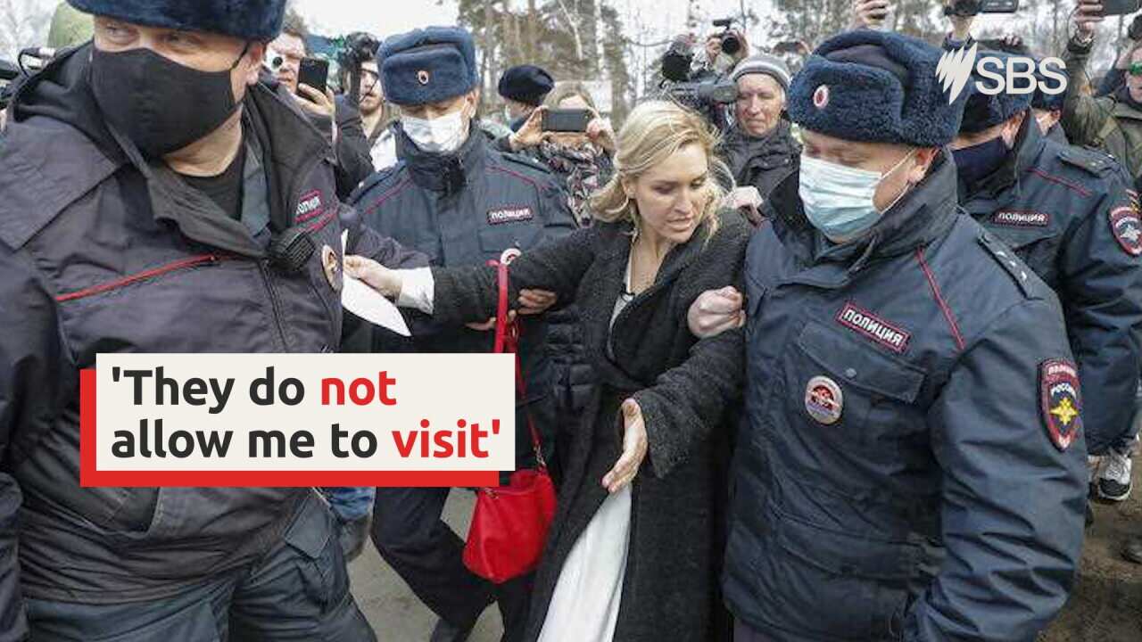 Alexei Navalny's doctor denied access to his prison