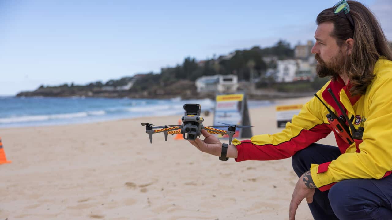 SHARK ATTACK COOGEE BEACH