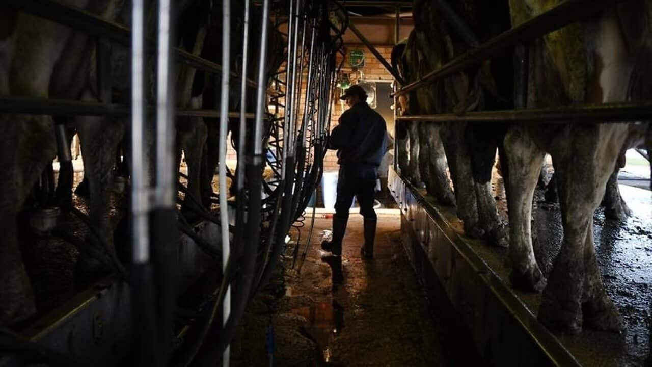 Minimum milk price push fails to pass