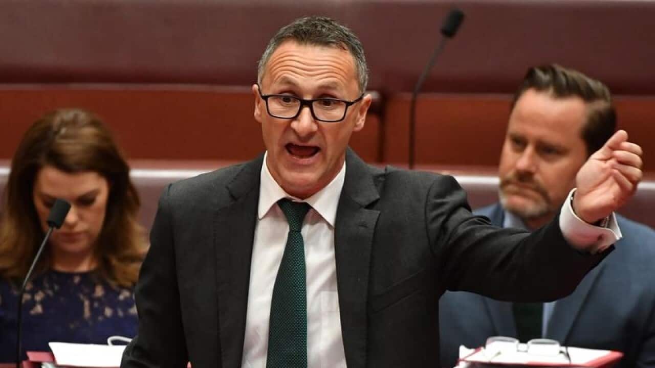 Richard Di Natale speaks in the Senate chamber.