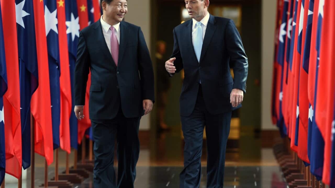 Chinese president Xi Jinping and Prime Minister Tony Abbott.
