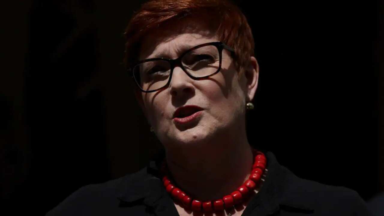 Foreign Affairs Minister Marise Payne says the government is keeping open the option of expelling Russia's ambassador to Australia.