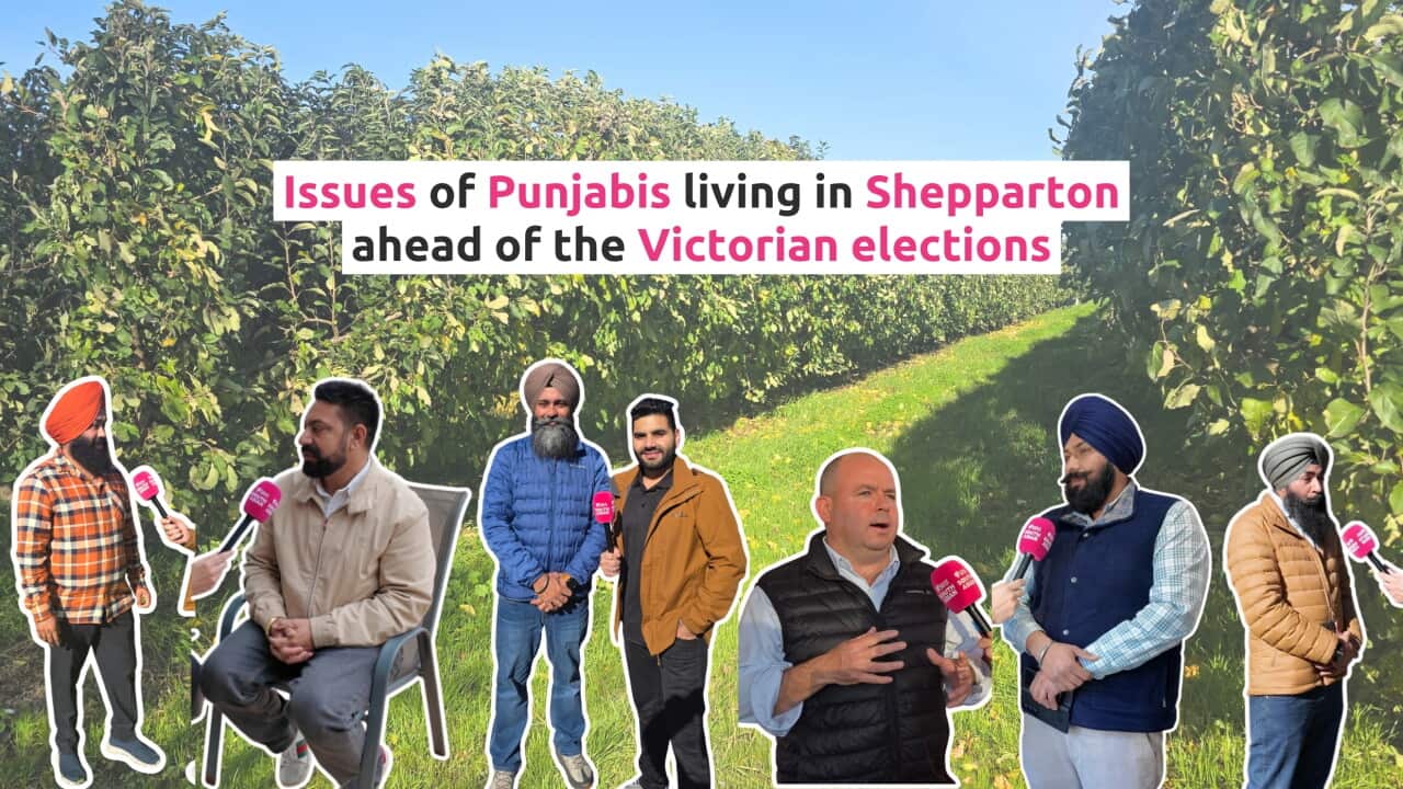 Victorian Elections Shepparton Punjabis 2026 English.jpg