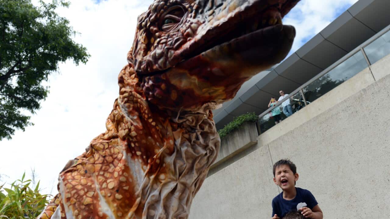 A boy cries after an interaction with an Australovenator puppet