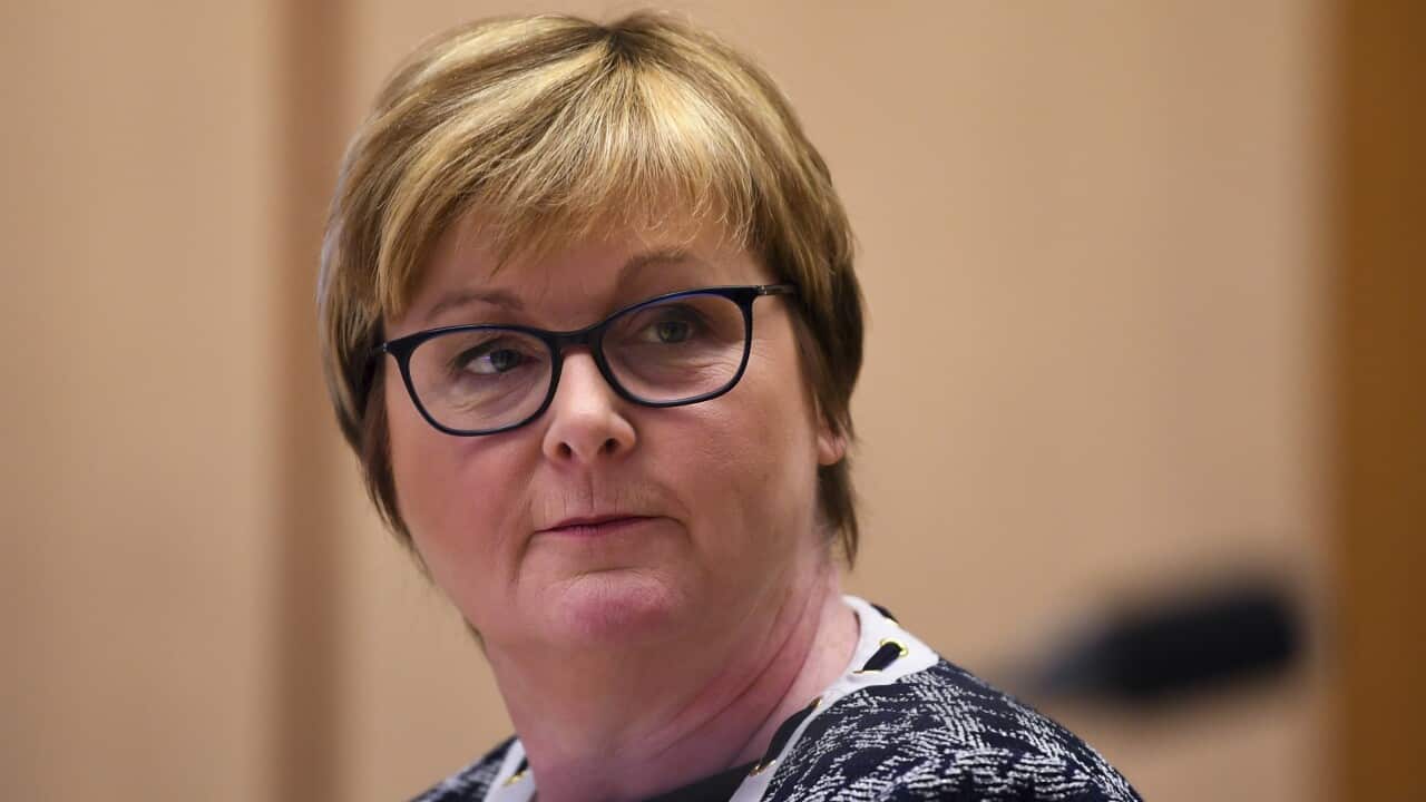 NDIS Minister Linda Reynolds during a senate estimates hearing this week.