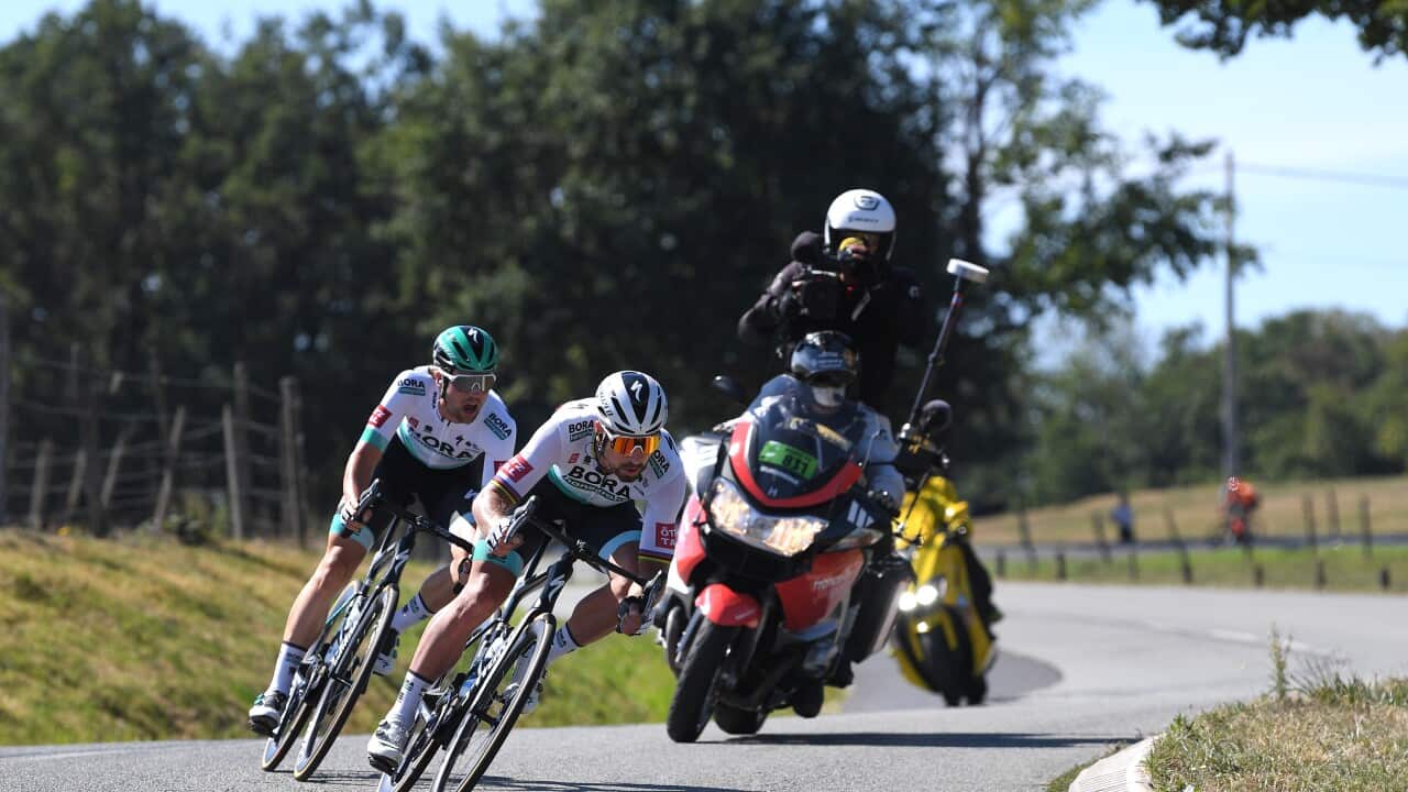 Peter Sagan, BORA-hansgrohe, Stage 14, Tour de France