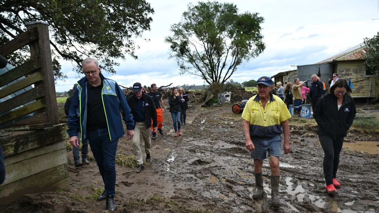 Image for read more article 'READ MORE'